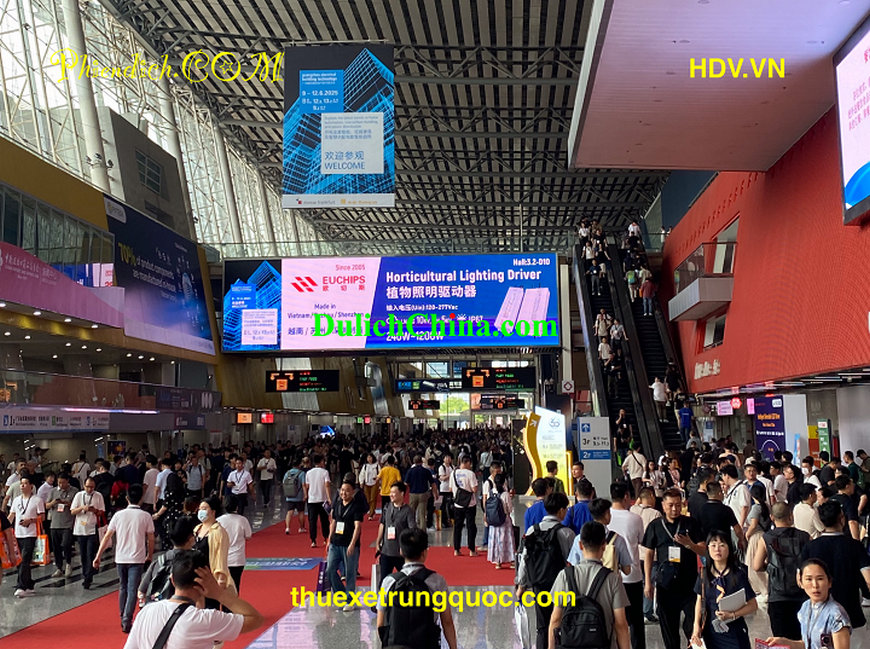 tim-phien-dich-tai-quang-chau35