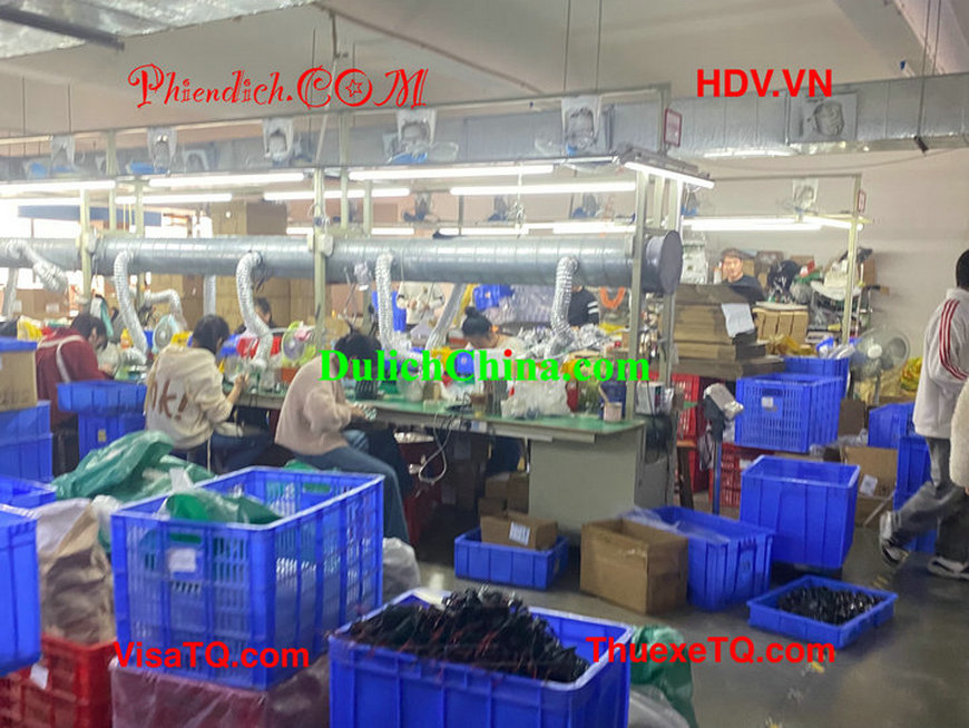 Phiên dịch viên tiếng Trung-Việt tháp tùng khách Việt đến thăm nhà máy Nam Kinh.