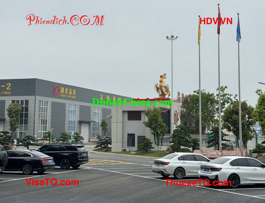 Phiên dịch viên tiếng Trung chuyên nghiệp tháp tùng khách Việt đến thăm nhà máy Vũ Hán.
