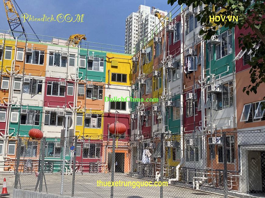 phien-dich-vien-hong-kong03