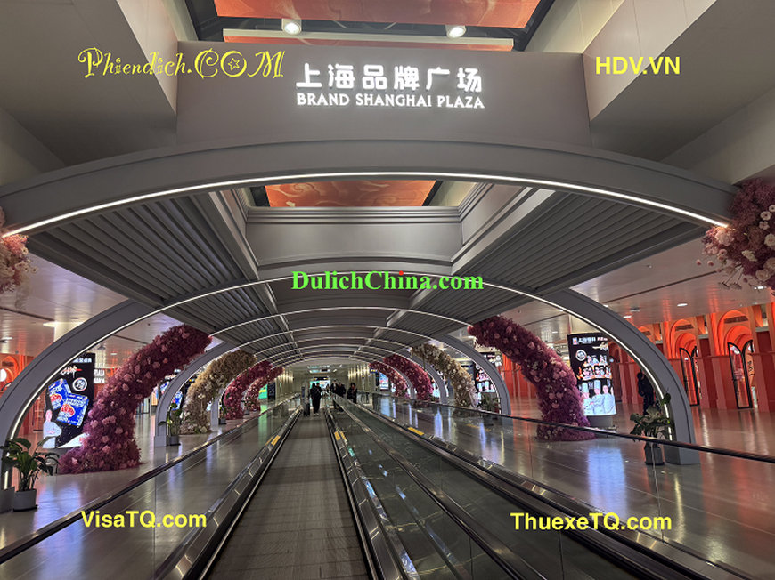 phien-dich-trien-lam-thuong-hai71